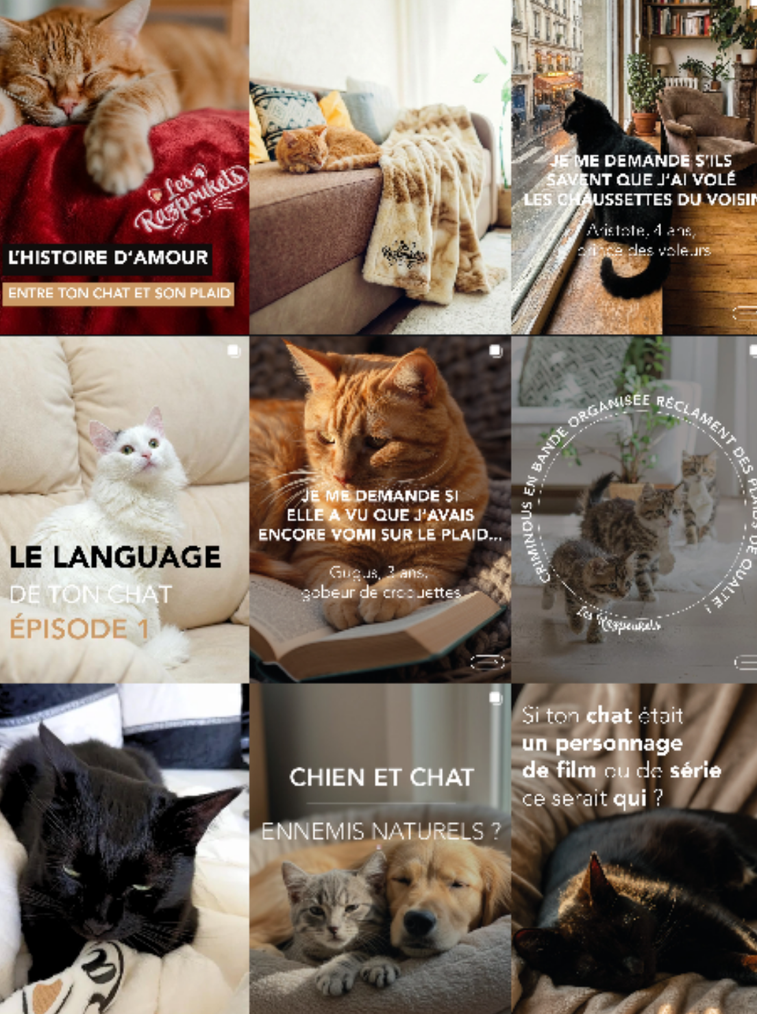 Feed Instagram Les Razpoukets