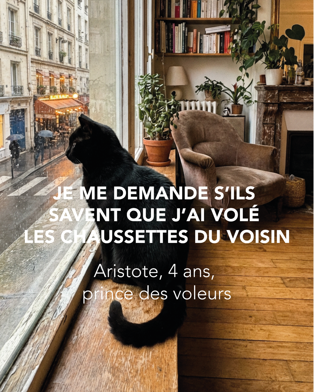 Publication Les Razpoukets