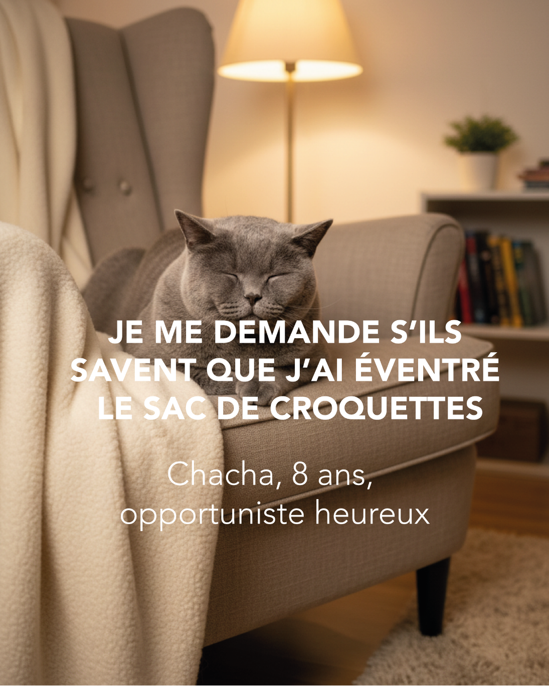 Publication Les Razpoukets